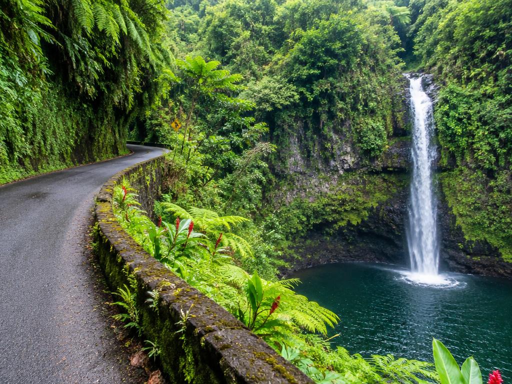 Rainforest road and waterfall along the Road to Hāna