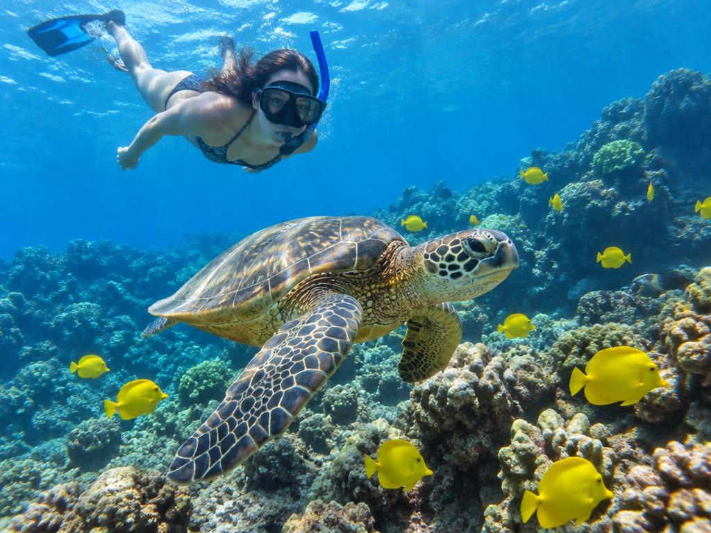 Snorkeler with a green sea turtle and yellow tang over a Maui reef