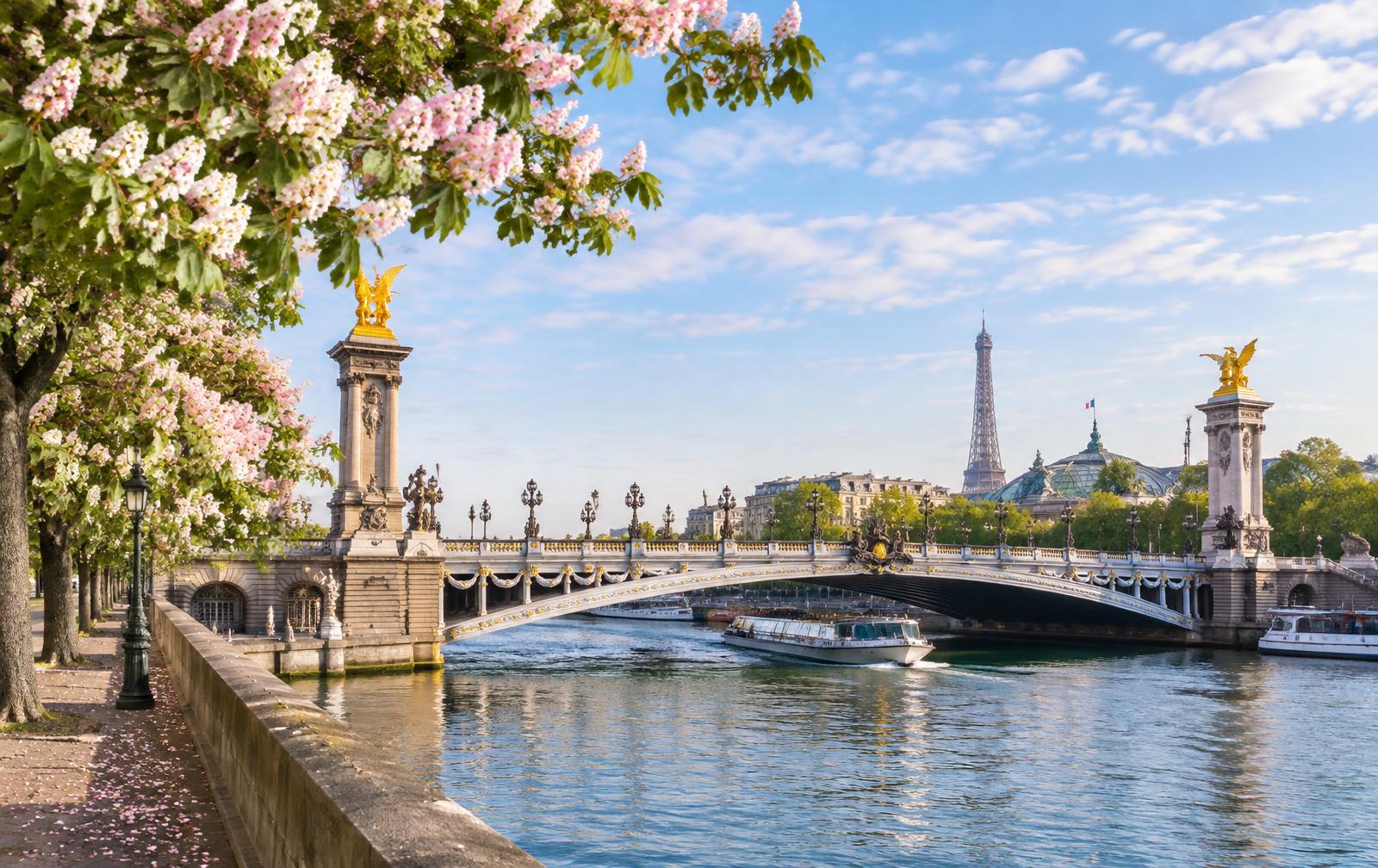 Pont Alexandre III over the Seine in spring with blooming chestnut trees and the Eiffel Tower in the distance, Paris